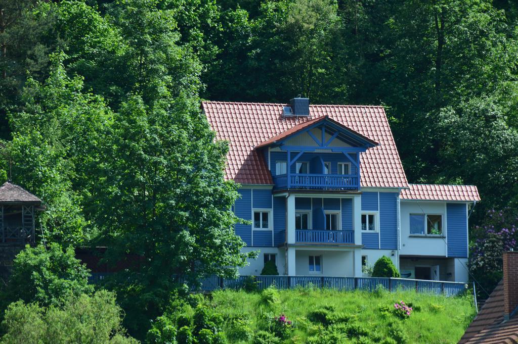 Haus Abendsonne Apartment Stadt Wehlen Bagian luar foto
